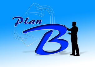 爱游戏线上-中国篮球职业俱乐部财务风险控制研究，篮球俱乐部企业组织结构图