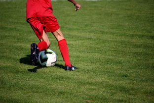 爱游戏中国-中国篮球职业联赛俱乐部青训体系建设，全国篮球俱乐部青年联赛